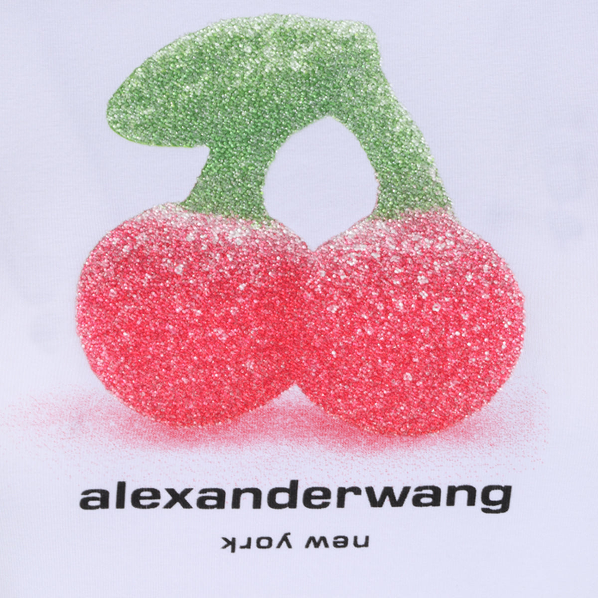 ALEXANDER WANG WOMAN,t-shirts