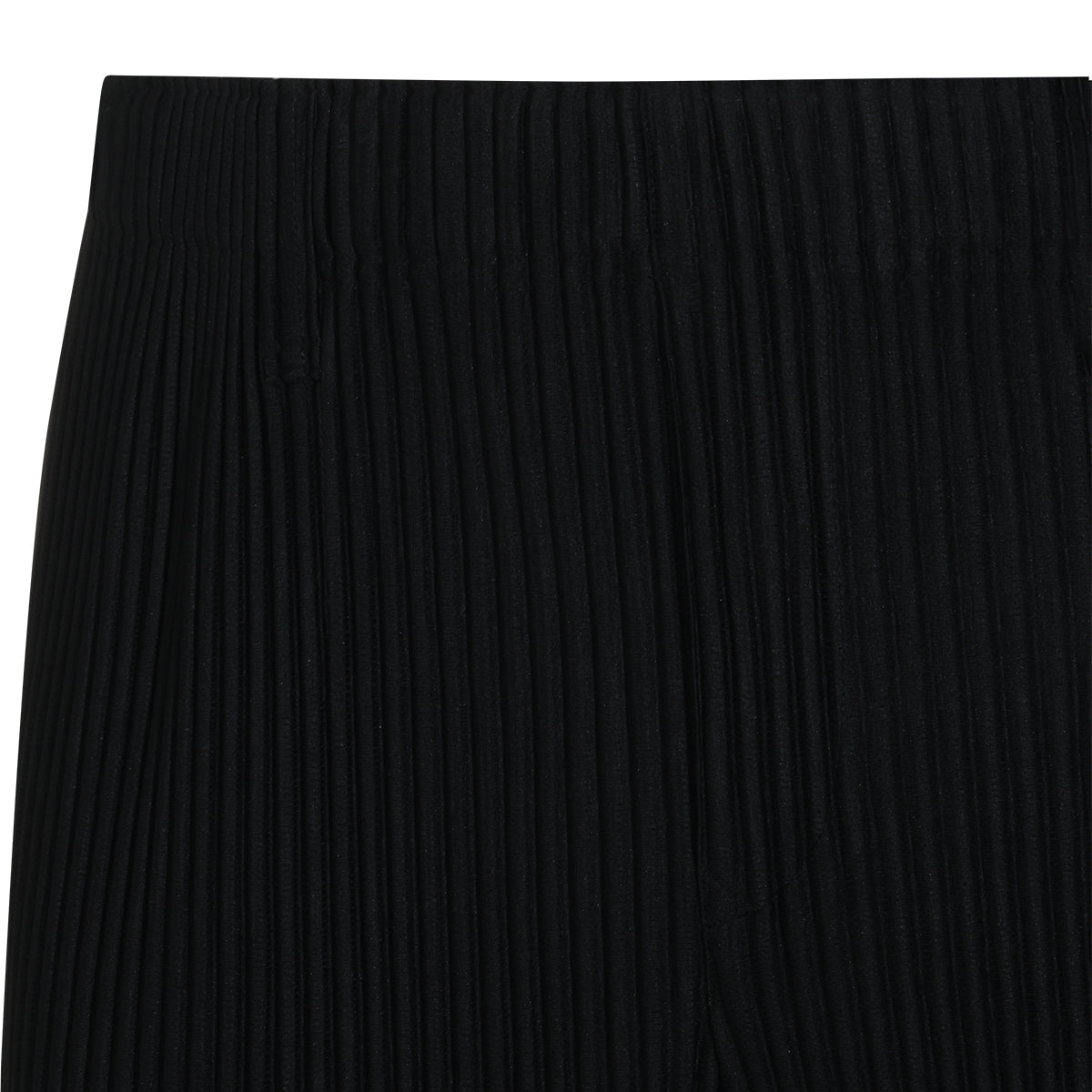 HOMME PLISSE ISSEY MIYAKE MAN,pants