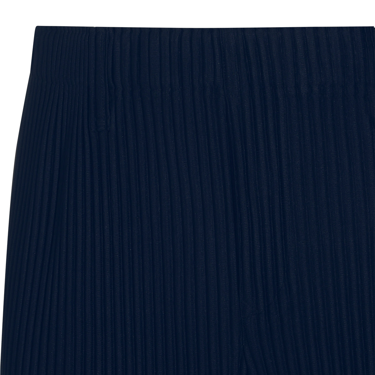 HOMME PLISSE ISSEY MIYAKE MAN,pants