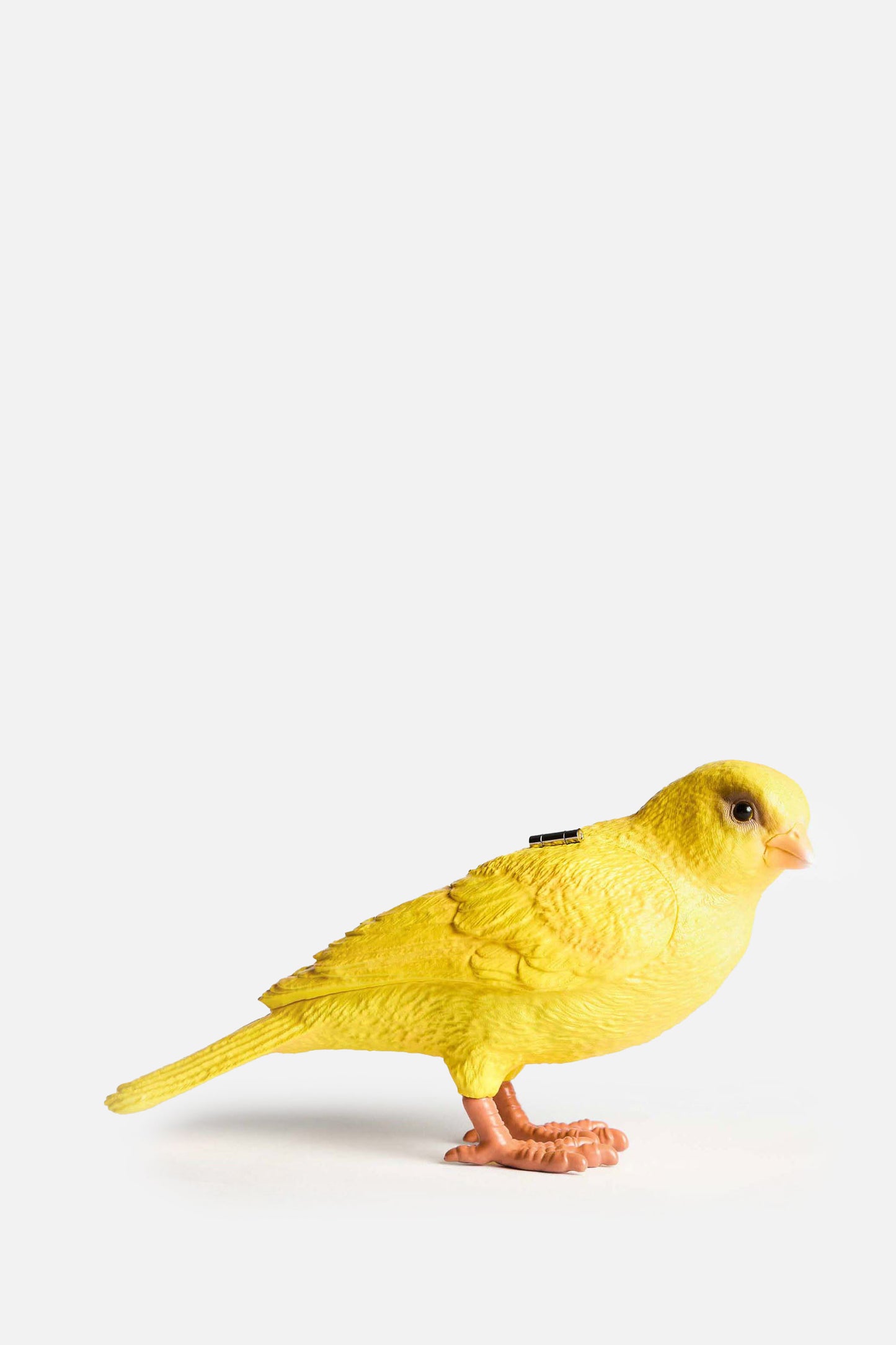 CANARY CLUTCH