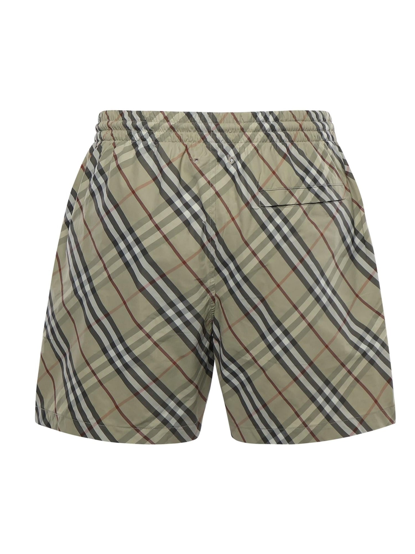 Boxer mare Check