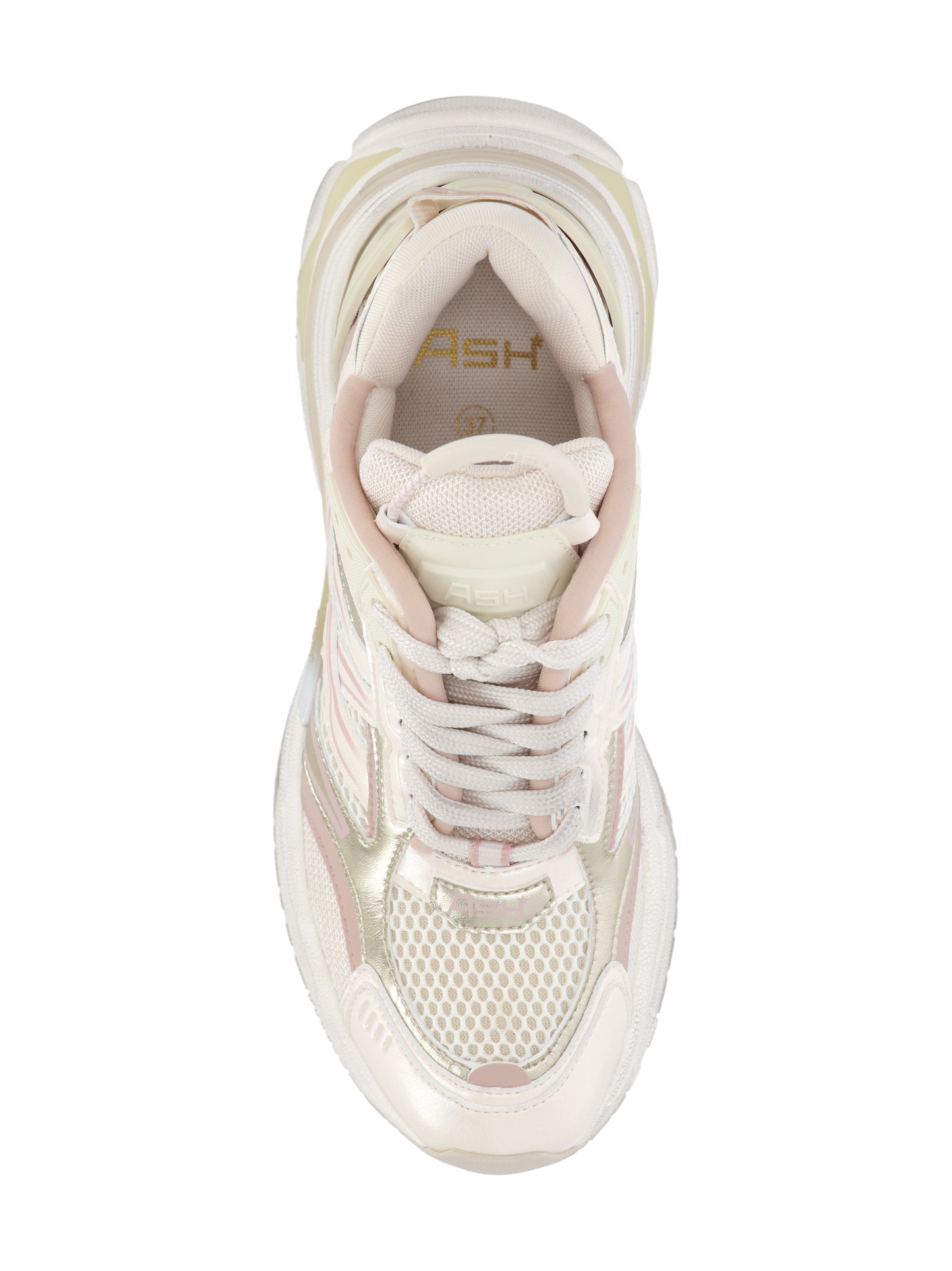 SNEAKERS RACE