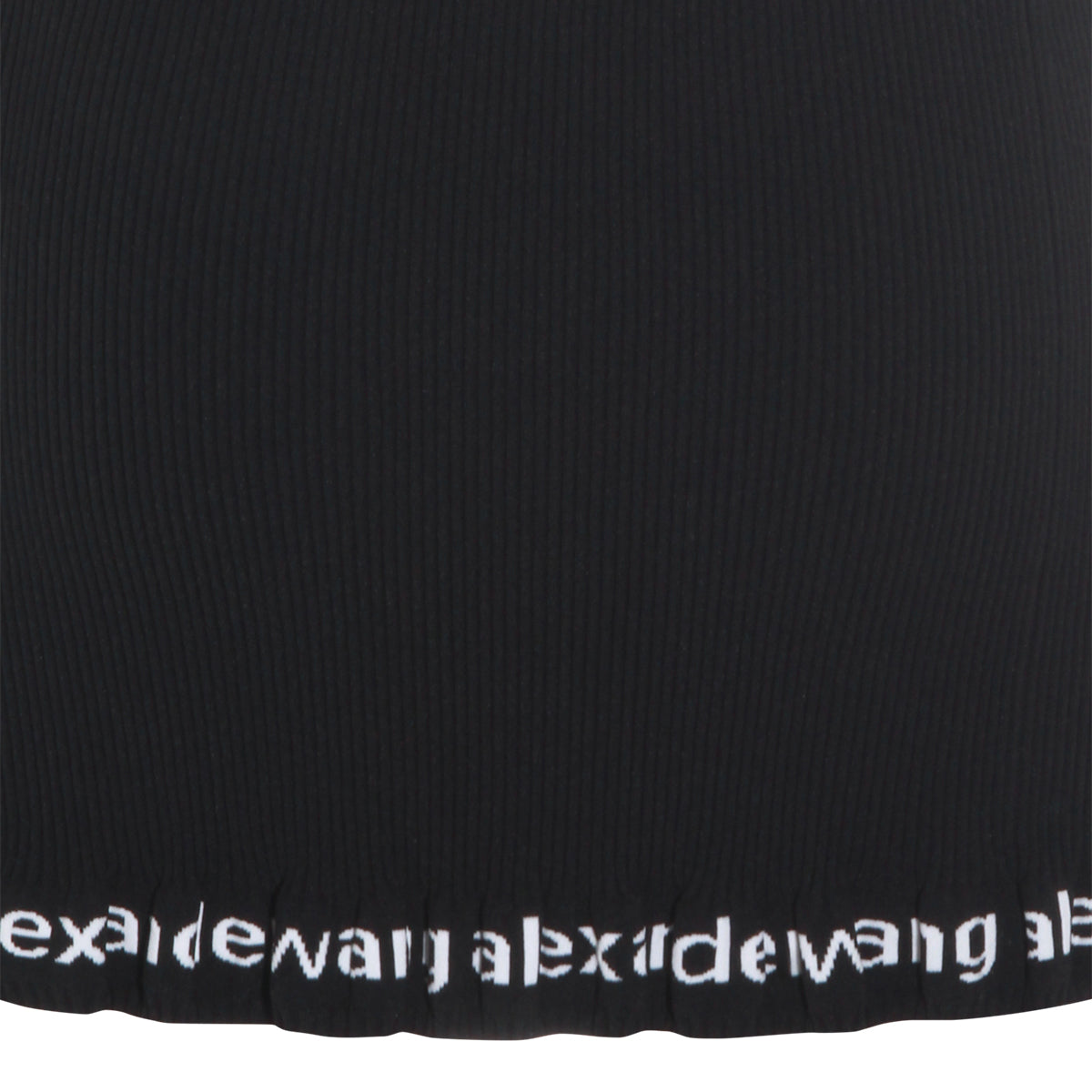 ALEXANDER WANG WOMAN,skirts