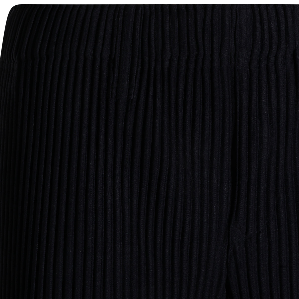 NAVY PLEATED PANT
