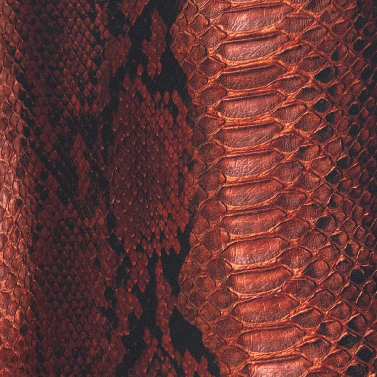 BROWN BEACHWEAR