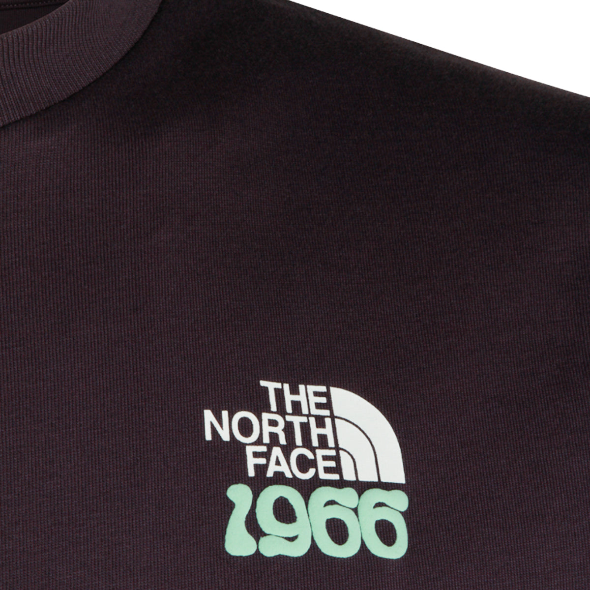 THE NORTH FACE MAN,t-shirts