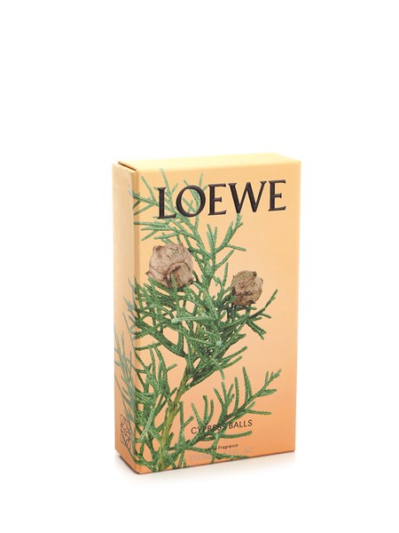 Fragranza bacche di cipresso