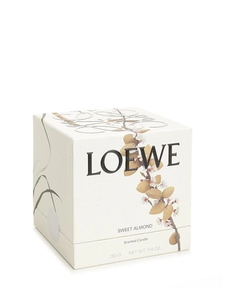Candela profumata Sweet Almond Midi