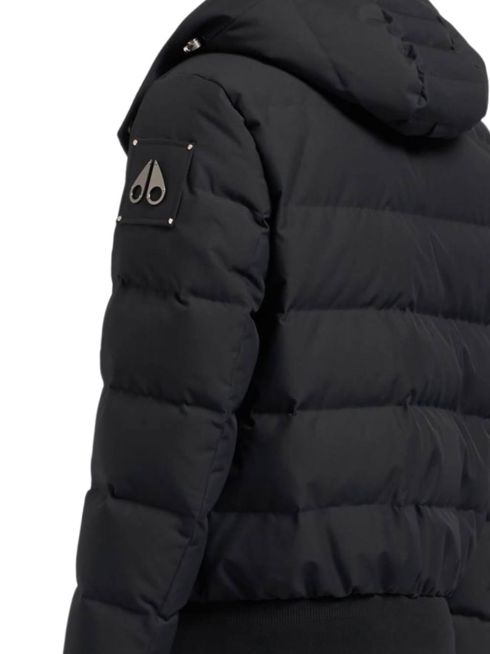 Moose Knuckles MAN,jacket