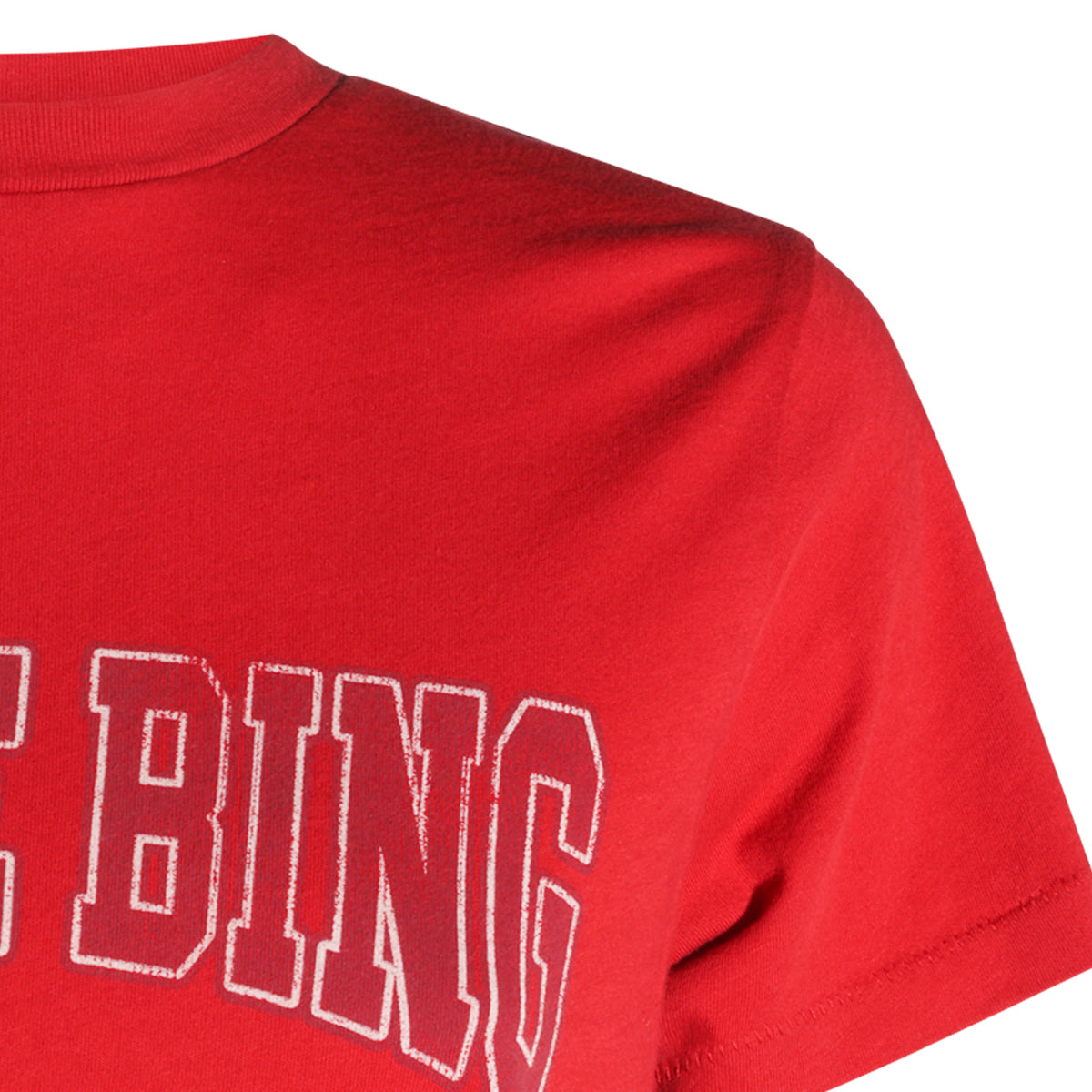 ANINE BING WOMAN,t-shirts