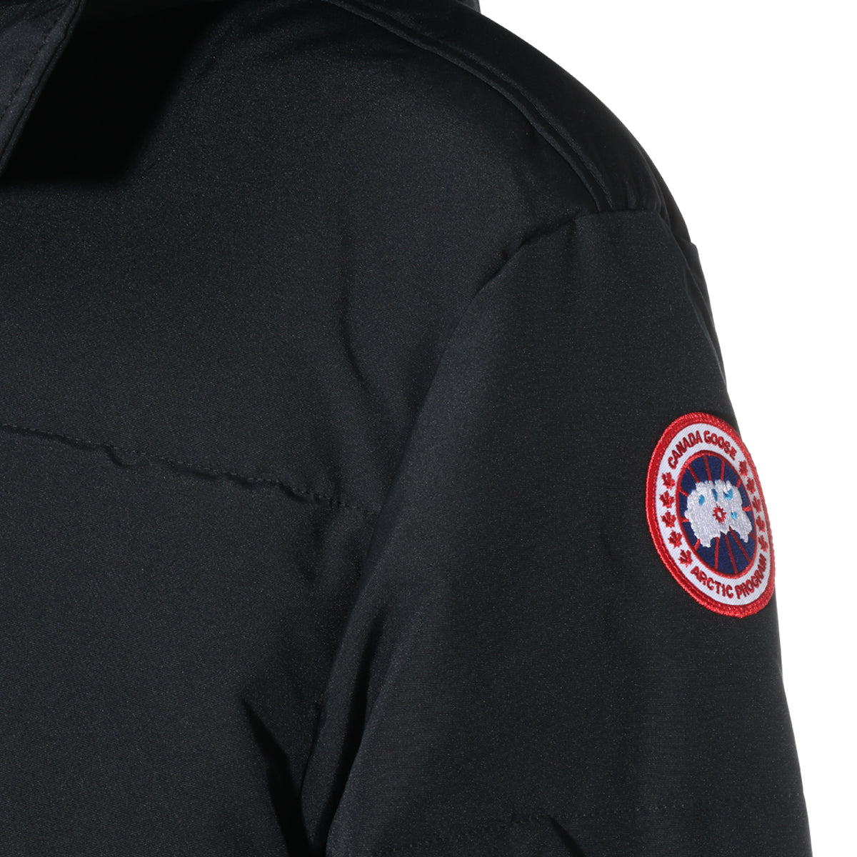 CANADA GOOSE MAN,down jackets