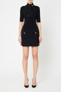 Elisabetta Franchi WOMAN,dresses