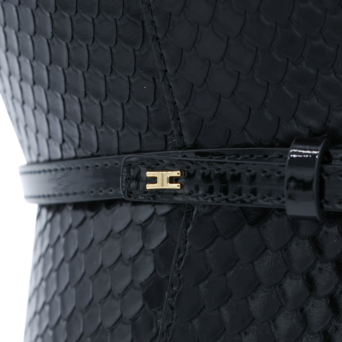ELISABETTA FRANCHI WOMAN,belts