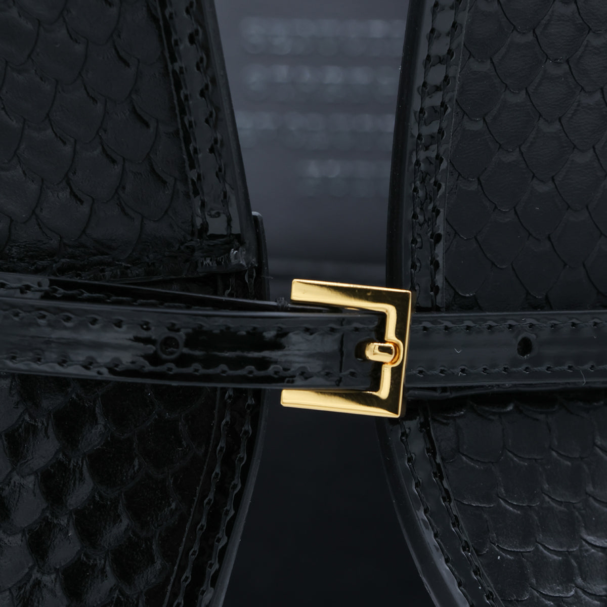 ELISABETTA FRANCHI WOMAN,belts