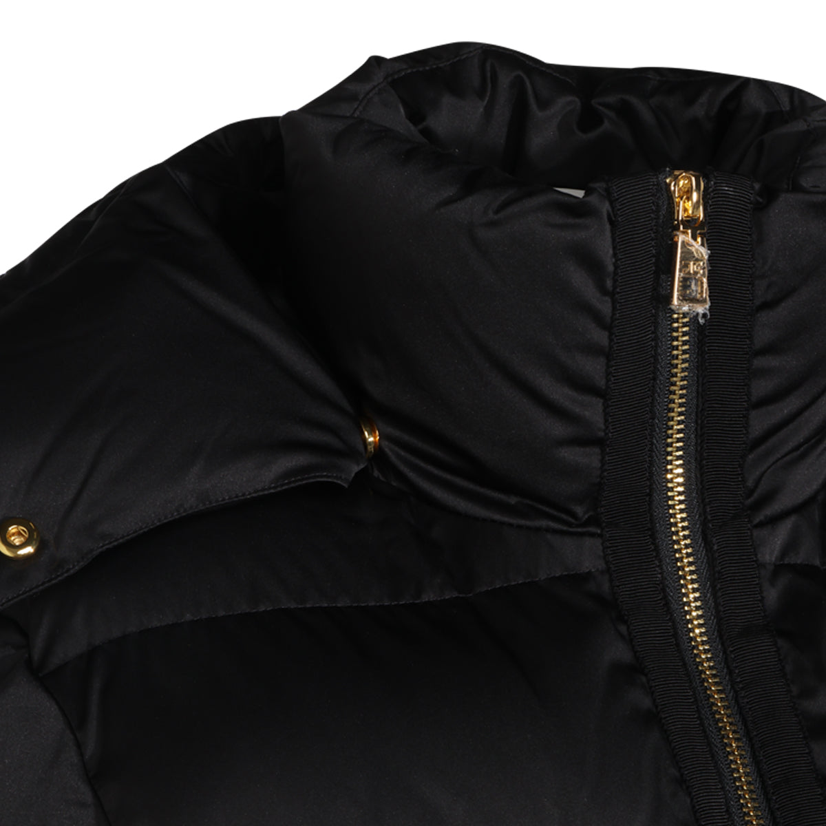 ELISABETTA FRANCHI WOMAN,down jackets