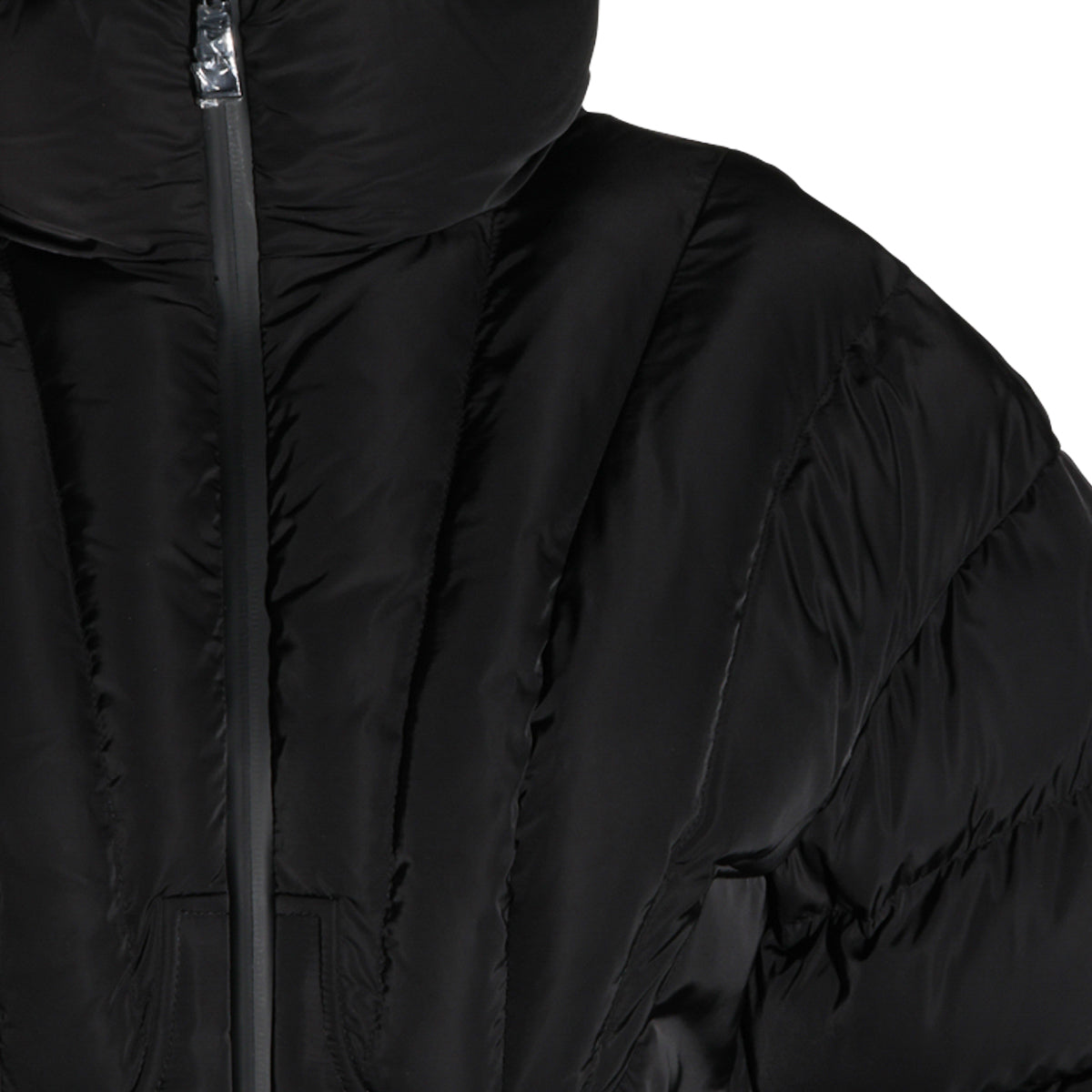 ELISABETTA FRANCHI WOMAN,down jackets