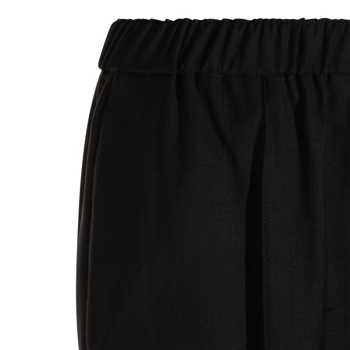 FABIANA FILIPPI WOMAN,pants