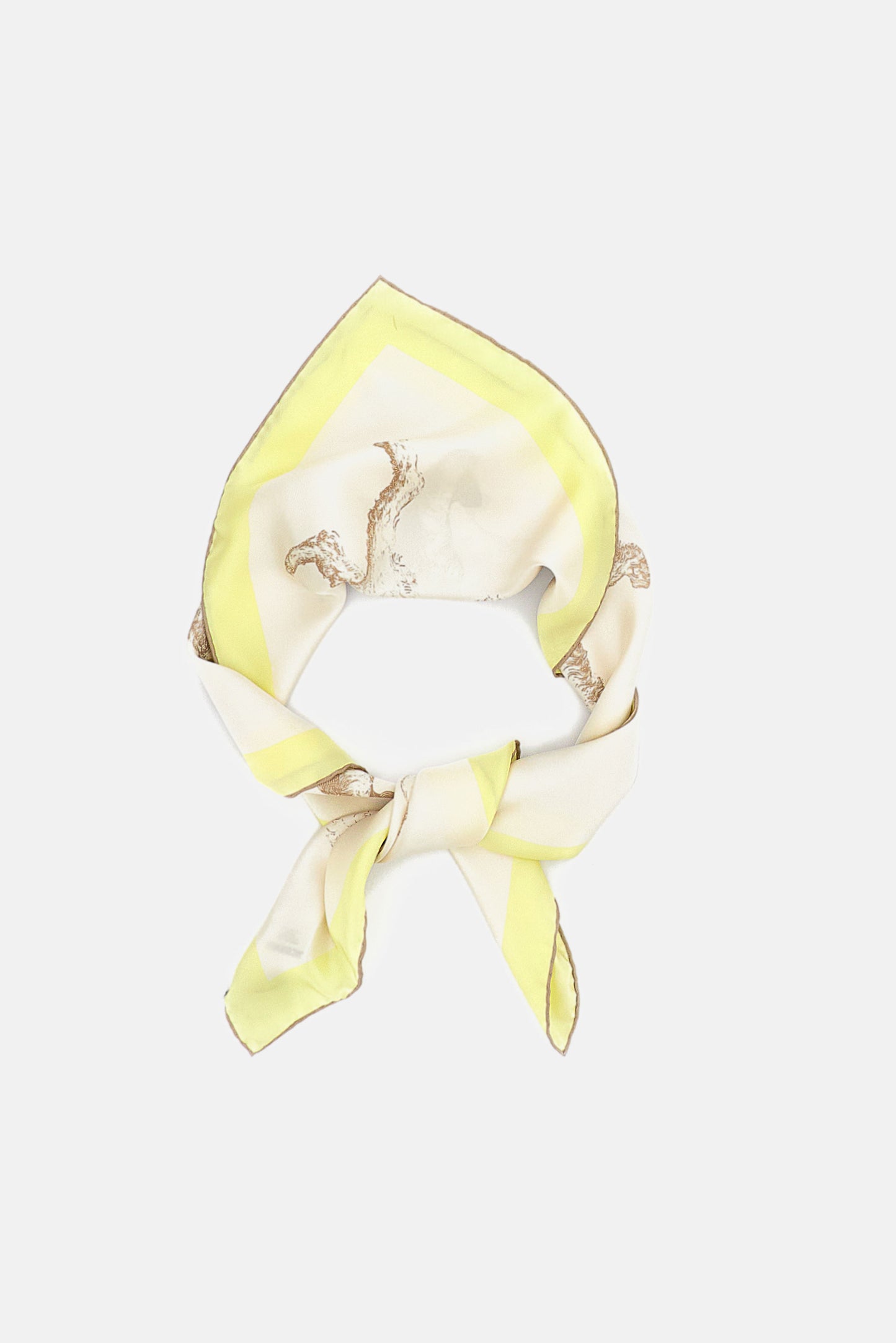 SILK SCARF LE GRAND FOULARD CANICHE