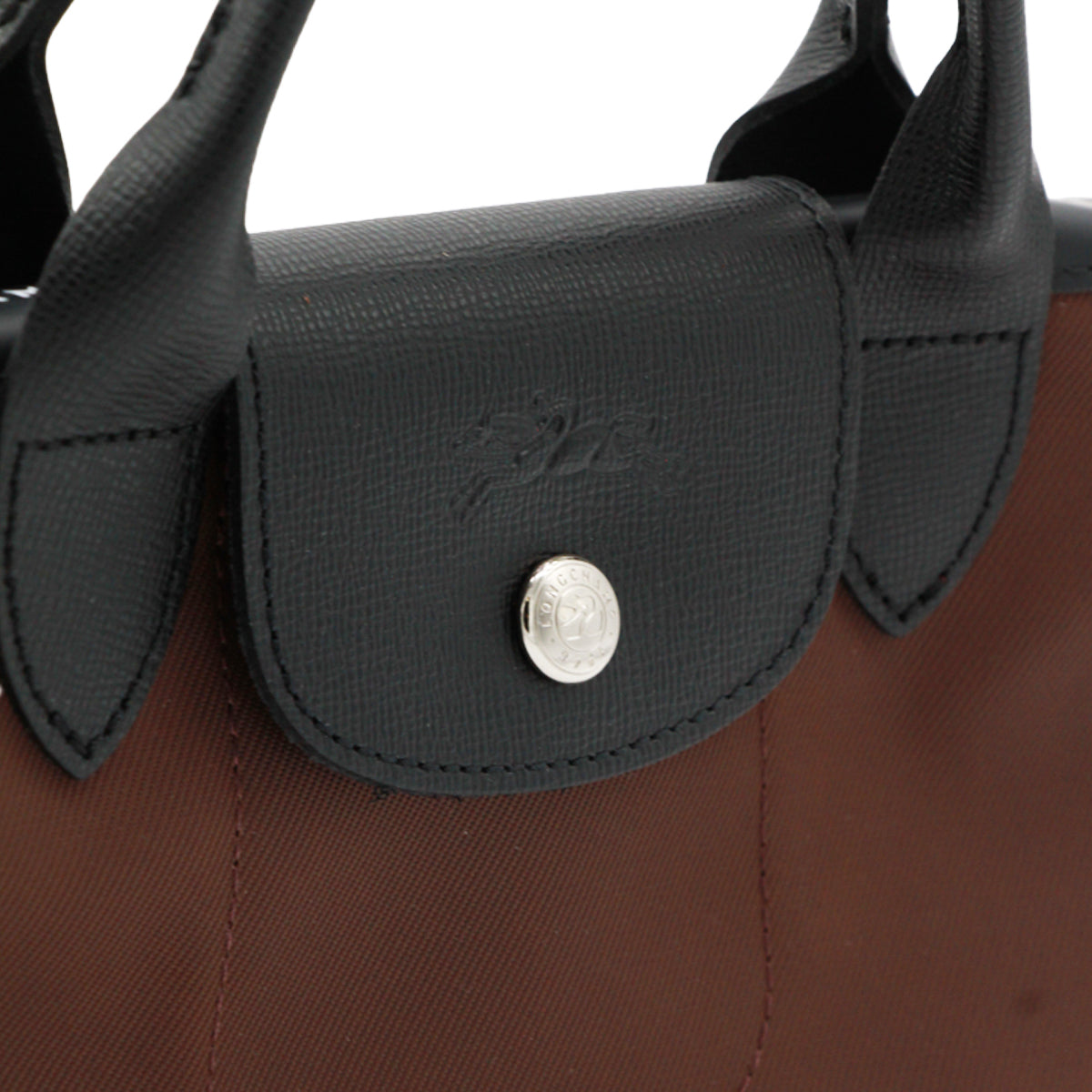 LONGCHAMP WOMAN,totes