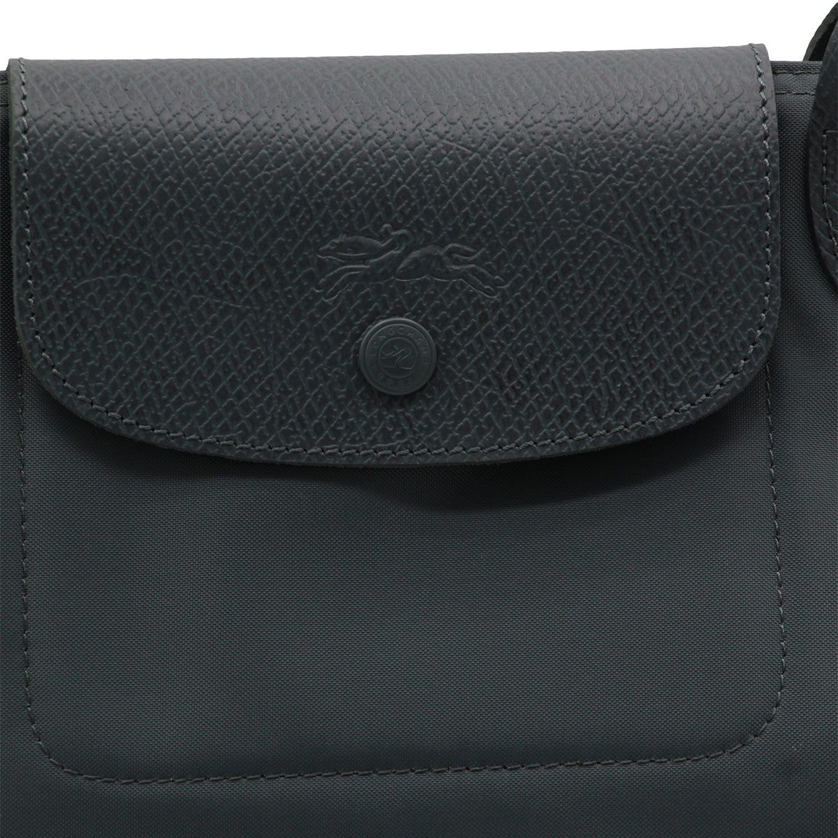 LONGCHAMP WOMAN,totes