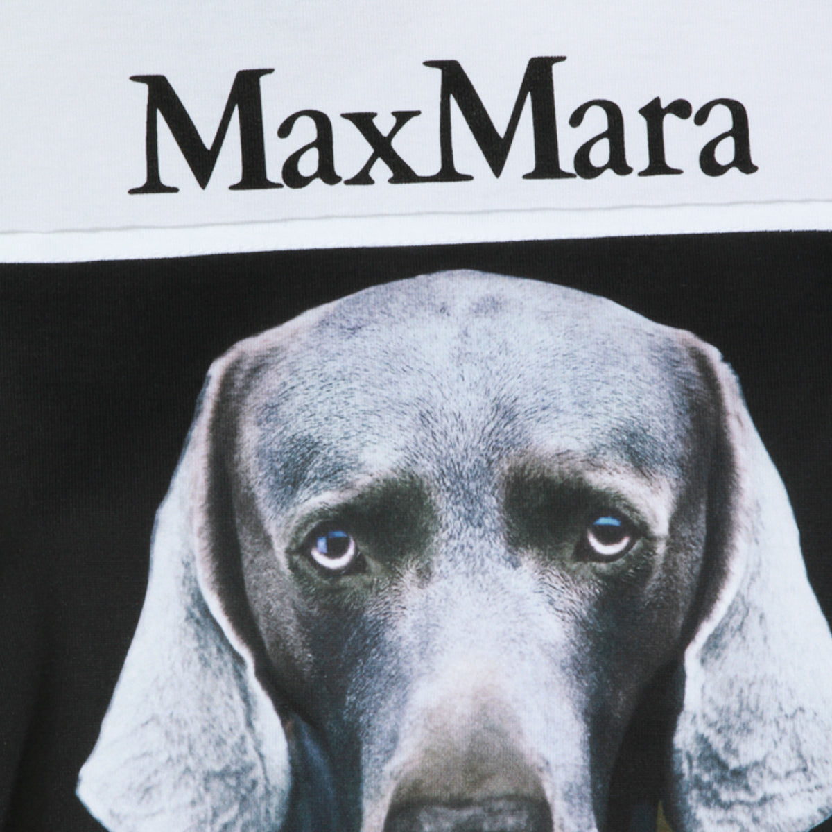 MAX MARA WOMAN,t-shirts