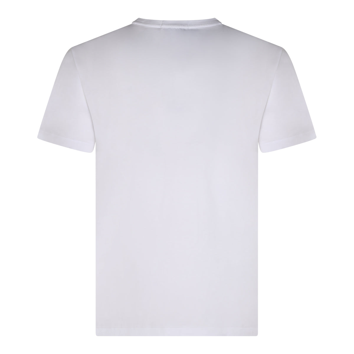 POLO RALPH LAUREN MAN,t-shirts