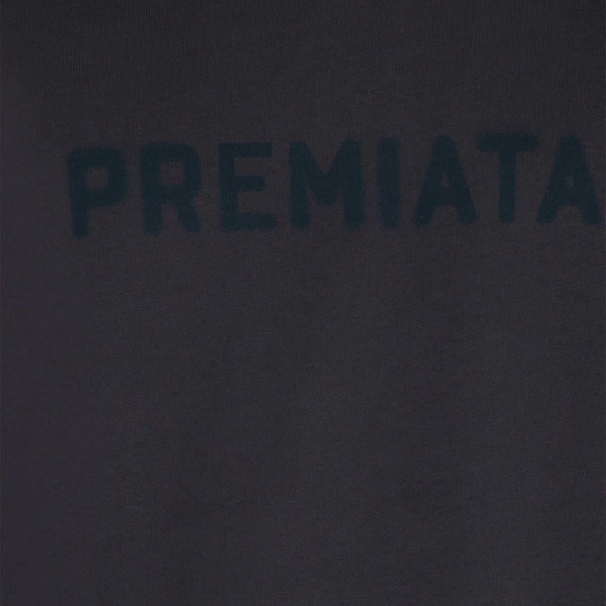 PREMIATA MAN,t-shirts
