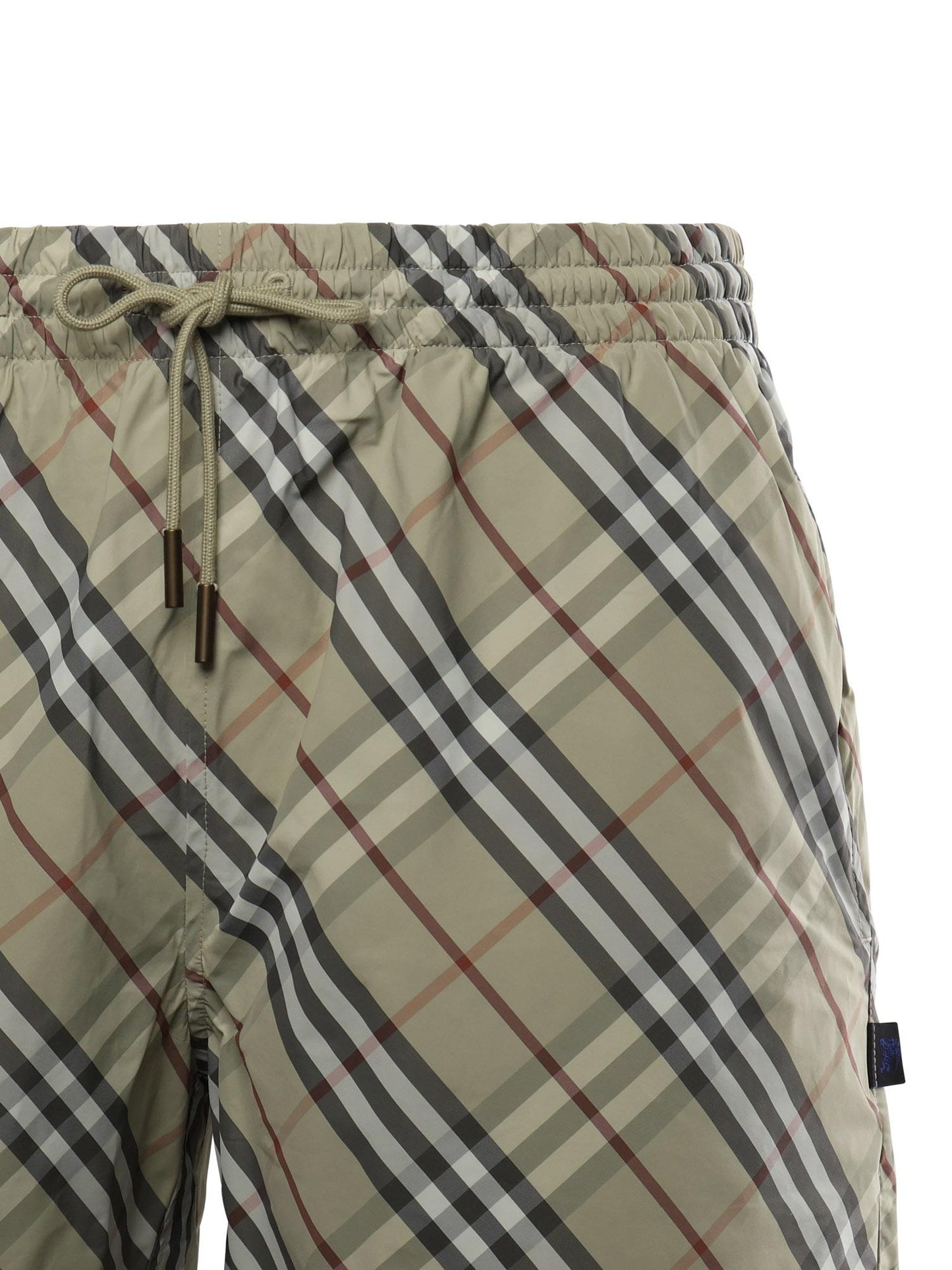 Boxer mare Check