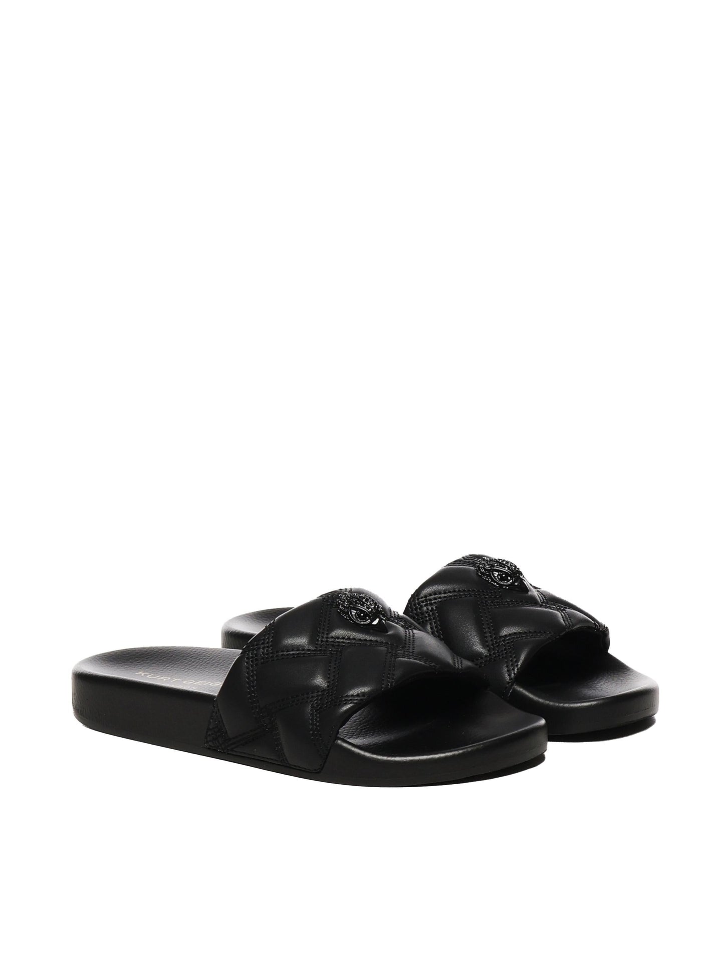 Slide Meena Eagle Drench