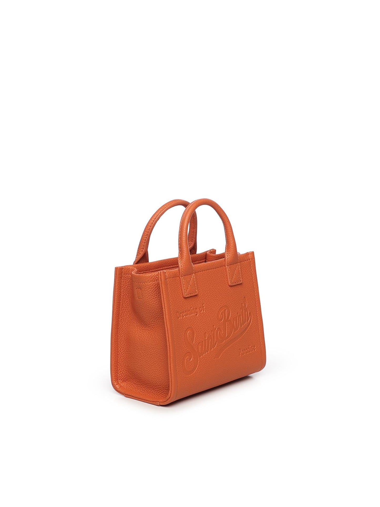 Mini bag Vanity in pelle