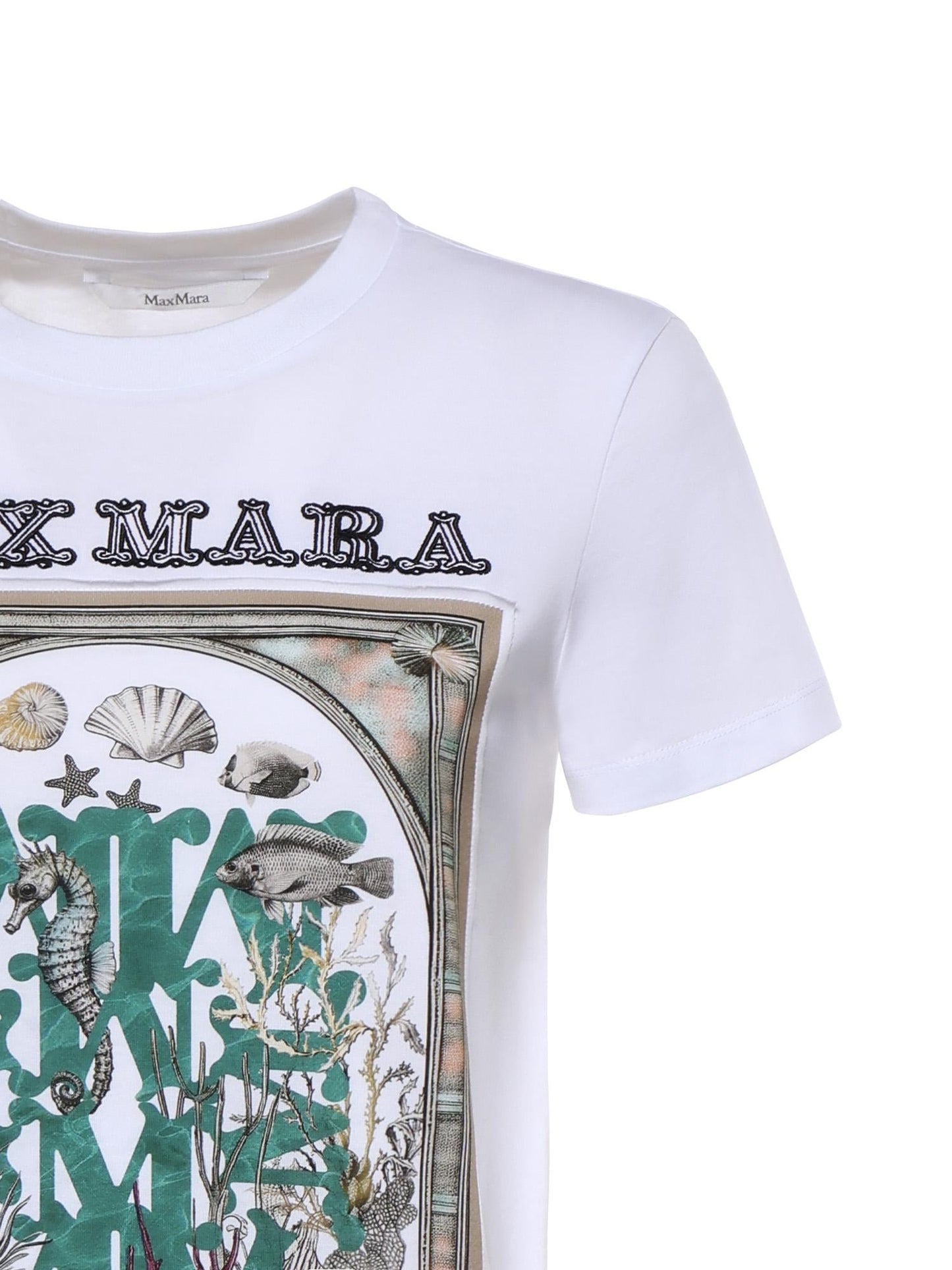 T-shirt in jersey di cotone