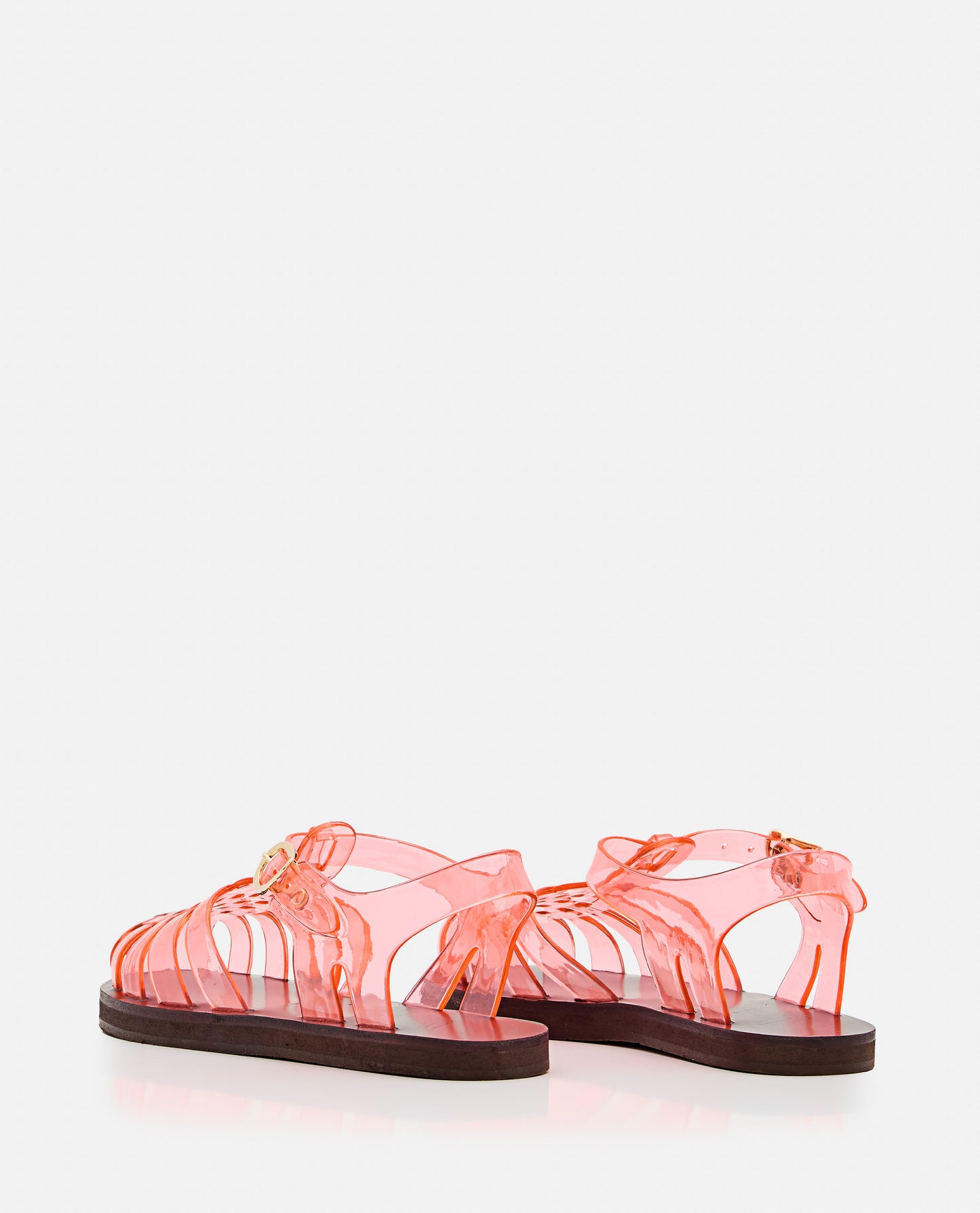HOMERIA JELLY