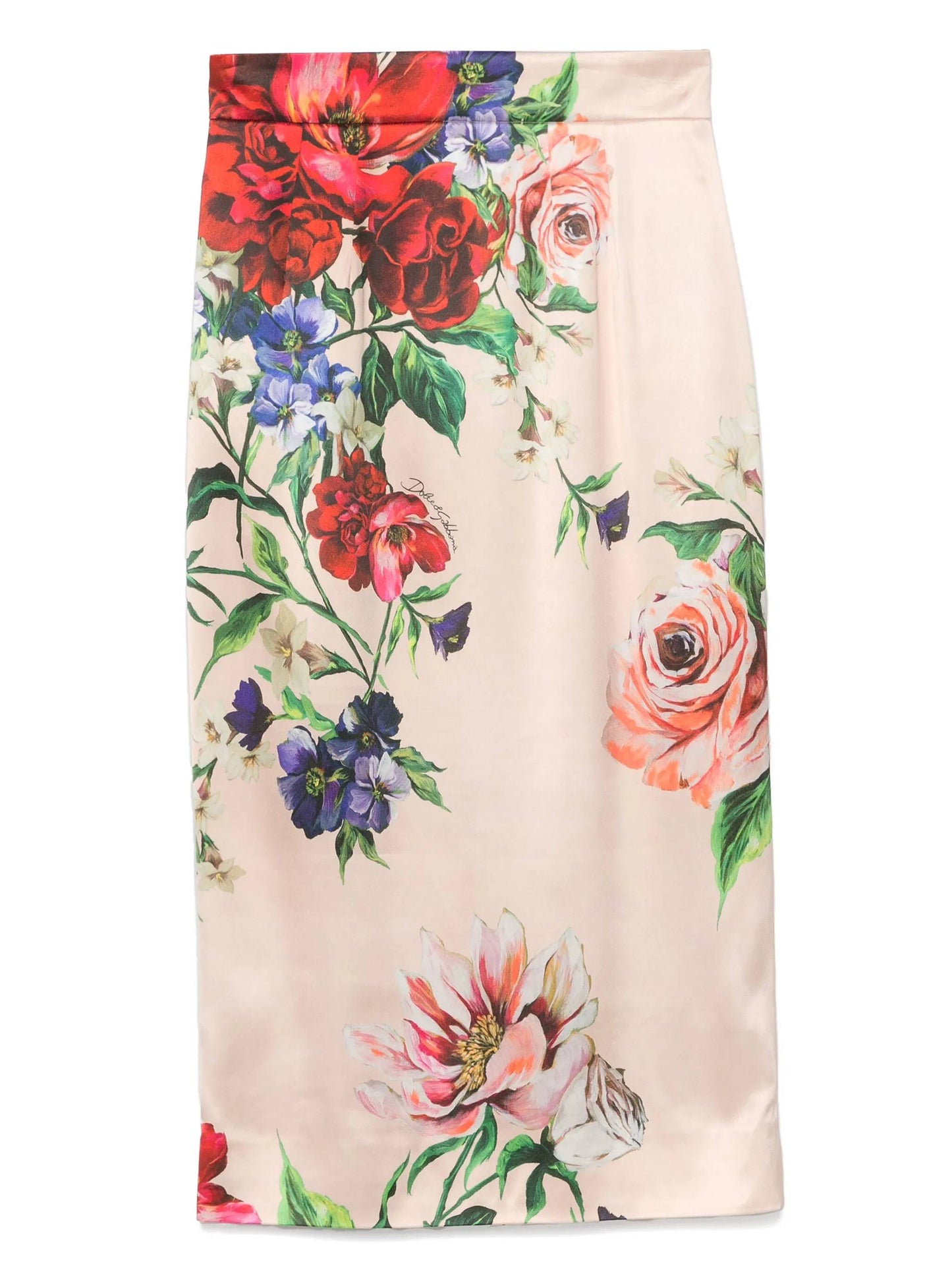 Dolce & Gabbana WOMAN,skirt