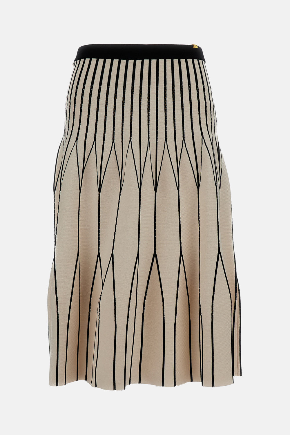 Elisabetta Franchi WOMAN,skirts