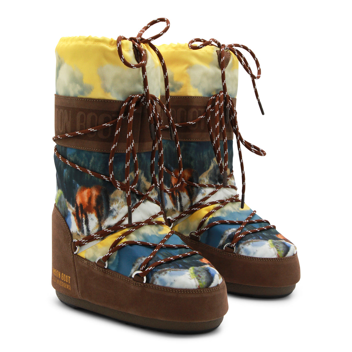 MOON BOOT WOMAN,boots