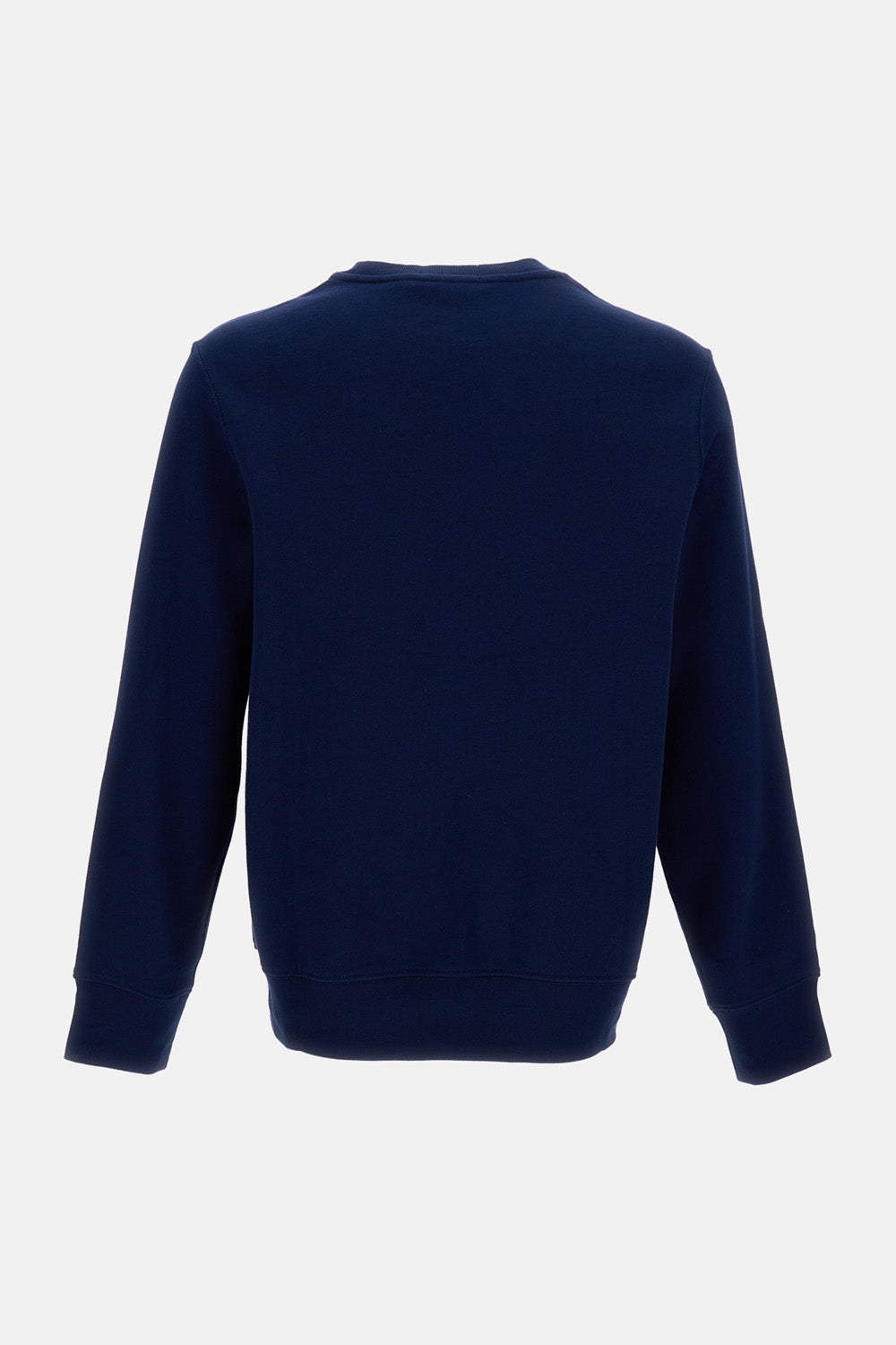 BEAR SWEATSHIRT