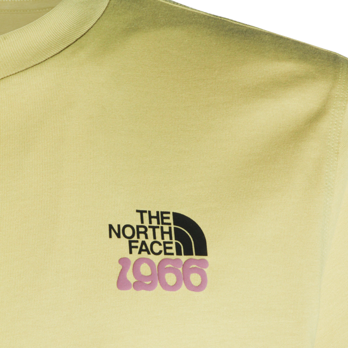 THE NORTH FACE MAN,t-shirts