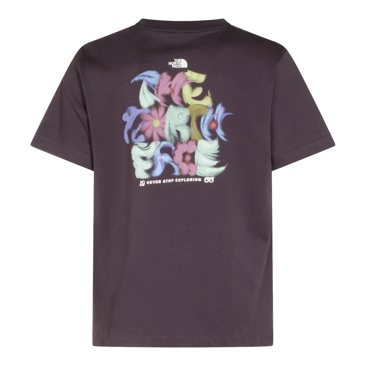 THE NORTH FACE MAN,t-shirts
